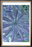Woodland Plants in Blue I Posters by Sharon Chandler