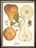 Bosc Posters by Nan Wiggins