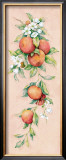 Oranges Prints by Clare Lake