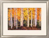 Late Light Prints by William Hook