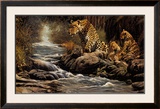 Watchful Eye Prints by Craig Bone