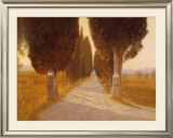 Tuscany Posters by Raymond Knaub