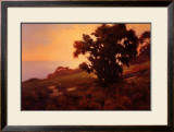 Golden Light at Sunset Prints by Brian Blood