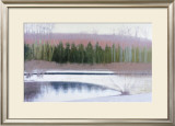 Cedars and Brook-Winter Art by Saturday 
