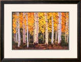 Late Light Prints by William Hook