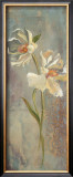 Floral Elegance VIII Prints by Hazel Lee