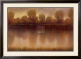 Marsh of the Warm Sunset Poster by Albert Williams
