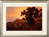 Golden Light at Sunset Prints by Brian Blood