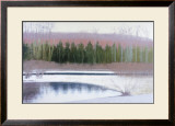 Cedars and Brook-Winter Prints by Saturday 