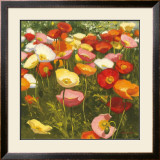 Prime Time Prints by Shirley Novak