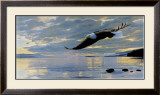 Dawn Flight Posters by Ron Parker