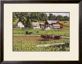 While the Sun Shines Prints by Bill Breedon
