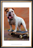 Bull Dog Nose Grind Print by Robert Mcclintock