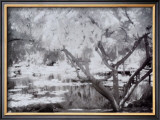 Japanese Garden Prints by Dennis Dunton