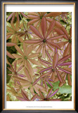 Woodland Plants in Red IV Prints by Sharon Chandler