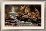 Watchful Eye Prints by Craig Bone