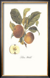 Apple, Blanc-Michel Prints by Francois Langlois
