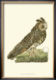 Owls III Posters by Nozeman 