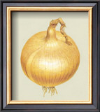 Onion Posters by Alex Bloch