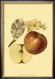 Ripe for Harvest I Posters by Heinrich Pfeiffer