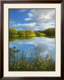 Summer in Masuren II Prints by Fasani 
