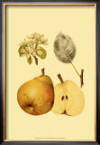Ripe for Harvest II Prints by Heinrich Pfeiffer