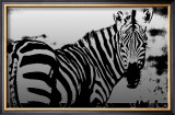 Zebra Chrome I Poster by Susann & Frank Parker