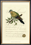 Romantic Dove I Posters
