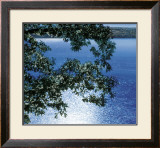 Silver Light, 2006 Prints by Alice Dalton Brown