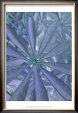 Woodland Plants in Blue II Art by Sharon Chandler