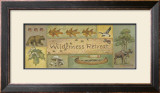 Wilderness Retreat Posters by Anita Phillips