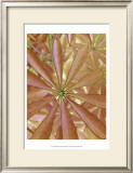 Woodland Plants in Red II Art by Sharon Chandler