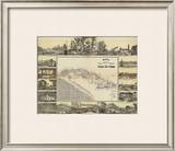Mapa Historico Pintoresca Moderno de al Isla De Cuba, c.1853 Framed Giclee Print by B. & C. May