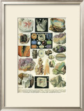 Mineraux II Posters