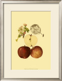 Ripe for Harvest IV Print by Heinrich Pfeiffer