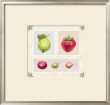 Antique Fruits Posters by Alex Bloch