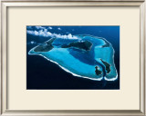 Polynesie Prints by Georges Bosio