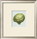 Artichoke Prints by Alex Bloch