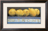 Les Citrons Posters by Morlaine 