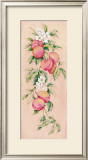 Apricots Posters by Clare Lake