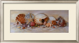 Ocean Still Life II Posters by Nancy Wiseman