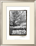 Springtime Garden III Prints by Laura Denardo