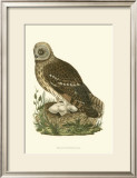 Owls I Poster by Nozeman 