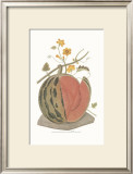 Melon Prints by George Brookshaw
