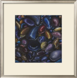 Pebbles Posters by Sue Warner