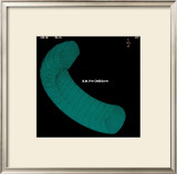 Michelin, Omega Tire Anatomy Framed Giclee Print