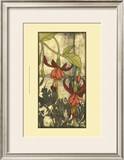 Mini Fuchsia and Silhouette VI Prints by Jennifer Goldberger
