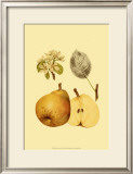 Ripe for Harvest II Prints by Heinrich Pfeiffer