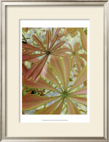 Woodland Plants in Red III Posters by Sharon Chandler