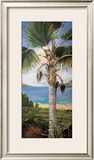 Fan Palm Posters by Deborah Thompson